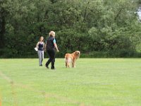 Bendix und das Boxband (27)